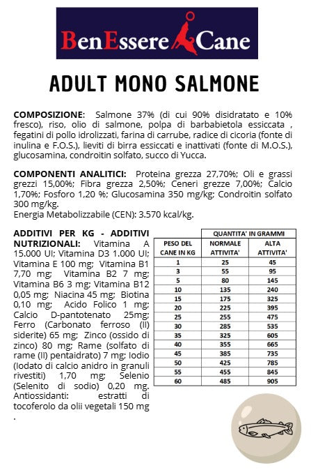 Monoproteico Salmone BenEssere Cane